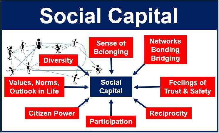 Social Capital